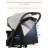 Carucior 4Play Коляска 4Play Compact Pink