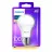 Ceainic electric ELECTROLUX Lamp LED Philips 13W 60A E27 WW 230V FR ND