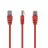 Patchcord GEMBIRD Patch cord cat. 5E PP12-5M/R Red, 5 m, molded strain relief 50u" plugs