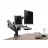 Suport pentru monitor GEMBIRD Table/desk 1-display & notebook mounting "MA-DA-02" Gembird, (rotate,tilt,swivel), 17”-32”,up to 8 kg,VESA:75x75,100x100