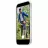Чехол APPLE iPhone 17 Clear Case with MagSafe,ModelA3563