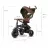 Bicicleta pentru copii QPlay Детский велосипед Qplay Rito Deluxe Brown