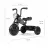 Bicicleta pentru copii QPlay Детский велосипед Qplay Triduro Black