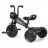 Bicicleta pentru copii QPlay Детский велосипед Qplay Triduro Black