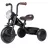 Bicicleta pentru copii QPlay Детский велосипед Qplay Triduro Black