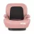 Scaun auto pentru copii Caretero Scaun Auto Caretero IRBIS I-SIZE PINK (125-150)