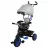 Детский велосипед Caretero Tricicleta Caretero BUZZ NAVY TOYZ-0331