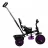 Детский велосипед Caretero Tricicleta Caretero BUZZ PURPLE TOYZ-0332
