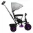 Bicicleta pentru copii Caretero Tricicleta Caretero BUZZ PURPLE TOYZ-0332