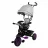 Bicicleta pentru copii Caretero Tricicleta Caretero BUZZ PURPLE TOYZ-0332