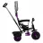 Детский велосипед Caretero Tricicleta Caretero BUZZ PURPLE TOYZ-0332