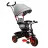Детский велосипед Caretero Tricicleta Caretero BUZZ RED TOYZ-0333