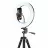 Штатив Proove Tripod cu Lampa Circulara Cellularline Ring Light Master 13", Black