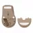 Mouse wireless ASUS Wireless Mouse Asus SmartO MD200, up to 4200dpi, 6 buttons, Carrying Loop, 85g. 1xAA, 2.4/BT, Beige
