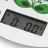 Cantar de bucatarie ZELMER Kitchen Scale Zelmer ZKS1611
