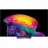Televizor LG 65" OLED SMART TV LG OLED65C64LA, Perfect Black, 4K UHD, webOS, Black