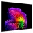Televizor LG 65" OLED SMART TV LG OLED65G64LW, Galery Edition, 4K UHD, webOS, Black