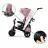 Bicicleta pentru copii KinderKraft Детский велосипед Kinderkraft Easytwist Pink (KKRETWIPNK0000)