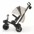 Bicicleta pentru copii KinderKraft Детский велосипед Kinderkraft Spinstep 2 Plus Beige (KRSPST02BEGPL00)
