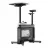 Bicicleta fitness Kingsmith EBW1B