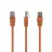 Patchcord GEMBIRD UTP Cat.5e Patch cord, 0.25m, Orange
