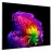 Televizor LG 55" OLED SMART TV LG OLED55G64LW, 3840x2160 4K UHD, webOS, Negru