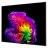 Televizor LG 55" OLED SMART TV LG OLED55G64LW, 3840x2160 4K UHD, webOS, Negru
