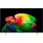 Televizor LG 65" OLED SMART TV LG OLED65B65LA, 3840x2160 4K UHD, webOS, Negru