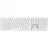 Клавиатура APPLE Tastatură Apple MXCJ3RS/A, Fără fir, Argintiu | Alb