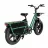 Bicicleta electrica Fiido Bicicletă Electrică Fiido T2, Verde