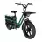 Bicicleta electrica Fiido Bicicletă Electrică Fiido T2, Verde