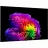 Телевизор LG 77" OLED SMART TV LG OLED77G64LW, 3840x2160 4K UHD, webOS, Negru
