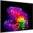 Телевизор LG 77" OLED SMART TV LG OLED77G64LW, 3840x2160 4K UHD, webOS, Negru