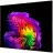 Телевизор LG 77" OLED SMART TV LG OLED77G64LW, 3840x2160 4K UHD, webOS, Negru