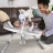 Leagan pentru bebelusi Bright Starts Leagan portabil Ingenuity AnyWay Sway™ Spruce