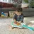 Jucarie Bright Starts Jucarie muzicala Baby Einstein Ukulele fermecat