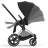 Коляска Cybex Carucior Cybex Priam JS RBAS Wings Black