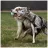 Мяч Explorer Dog Minge de joaca Explorer Dog Airball Turcuaz, 8 cm