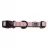 Zgardă Explorer Dog Zgarda pentru caini Explorer Dog Rainbow, marimea S, 24-36 cm