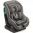 Scaun auto pentru copii Joie Scaun auto Joie Steadi R129 0-18 kg Cobblestone