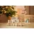 Игрушка Jollein Jucarie din lemn Jollein Toy Train Jungle Jambo