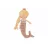 Игрушка Jollein Jucarie de plus Jollein Mermaid Ella