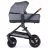 Carucior Petite&Mars Carucior 2 in 1 Petite&Mars Trails Ultimate Grey