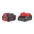 Fierastrau cu lant cu acumulator Ronix 8651, 25 cm
