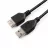 Кабель USB GEMBIRD CCF-USB2-AMAF-10, AM, AF,  USB2.0, 3.0m