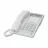 Telefon PANASONIC KX-TS2365UAW