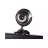 Web camera A4TECH PK-710G, VGA