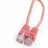 Patchcord GEMBIRD 3M,  PINK,  PP12-3M/RO,  CAT.5E, UTP