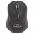 Mouse wireless ESPERANZA Titanum TORPEDO TM104K, USB