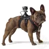 Аксессуары GoPro  GoPro Fetch (Dog Harness) 